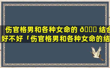 伤官格男和各种女命的 🐝 结合好不好「伤官格男和各种女命的结合怎么样」